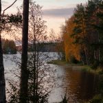 lakeshore and forest at autumn sunrise