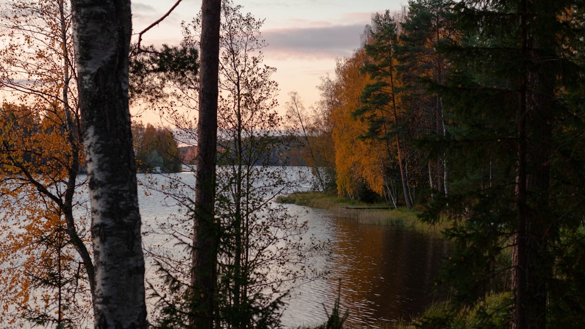 Kuidas saavutada tervislik eluviis
